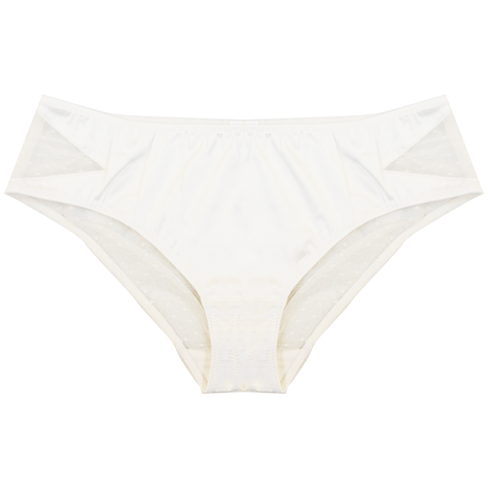 Perrie Briefs | Silver Lining Lingerie