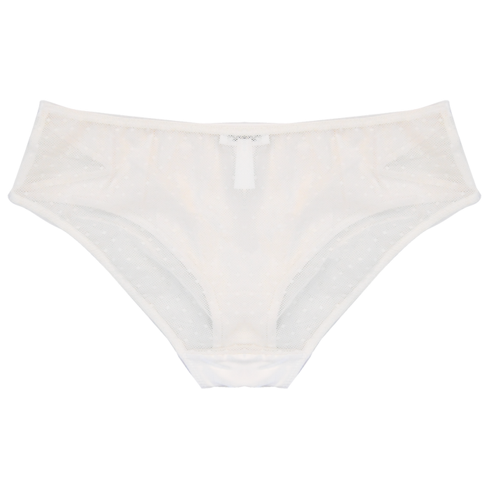 Perrie Briefs | Silver Lining Lingerie