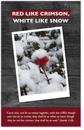 Red Like Crimson, White Like Snow