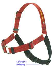 Sense-ation Dog Harness