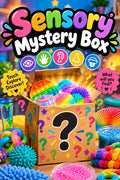 Sensory Mystery Box
