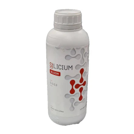 Silicium Bloom