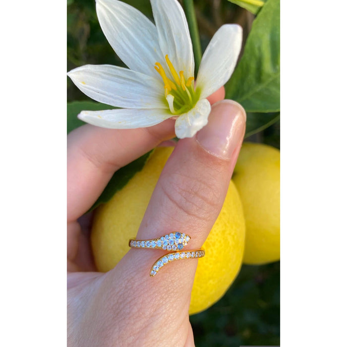 Snake Charmer Ring - Romantiques