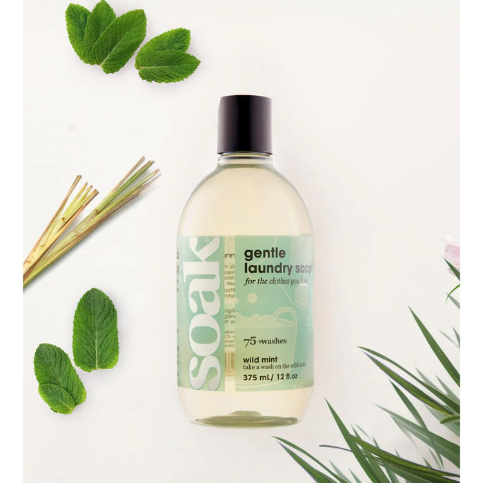 Soak Laundry Soap: Wild Mint