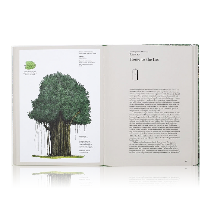 The Story Of Trees