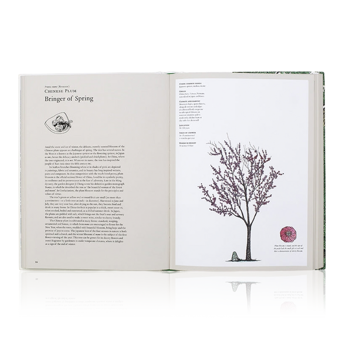 The Story Of Trees