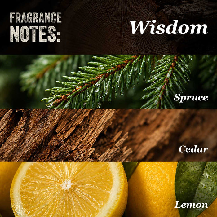 Wisdom Beard Oil: Bright and Woodsy Beard Care